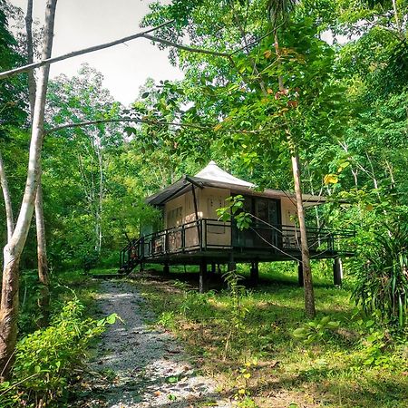 Anurak Community Lodge - Sha Plus Khao Sok National Park Eksteriør bilde