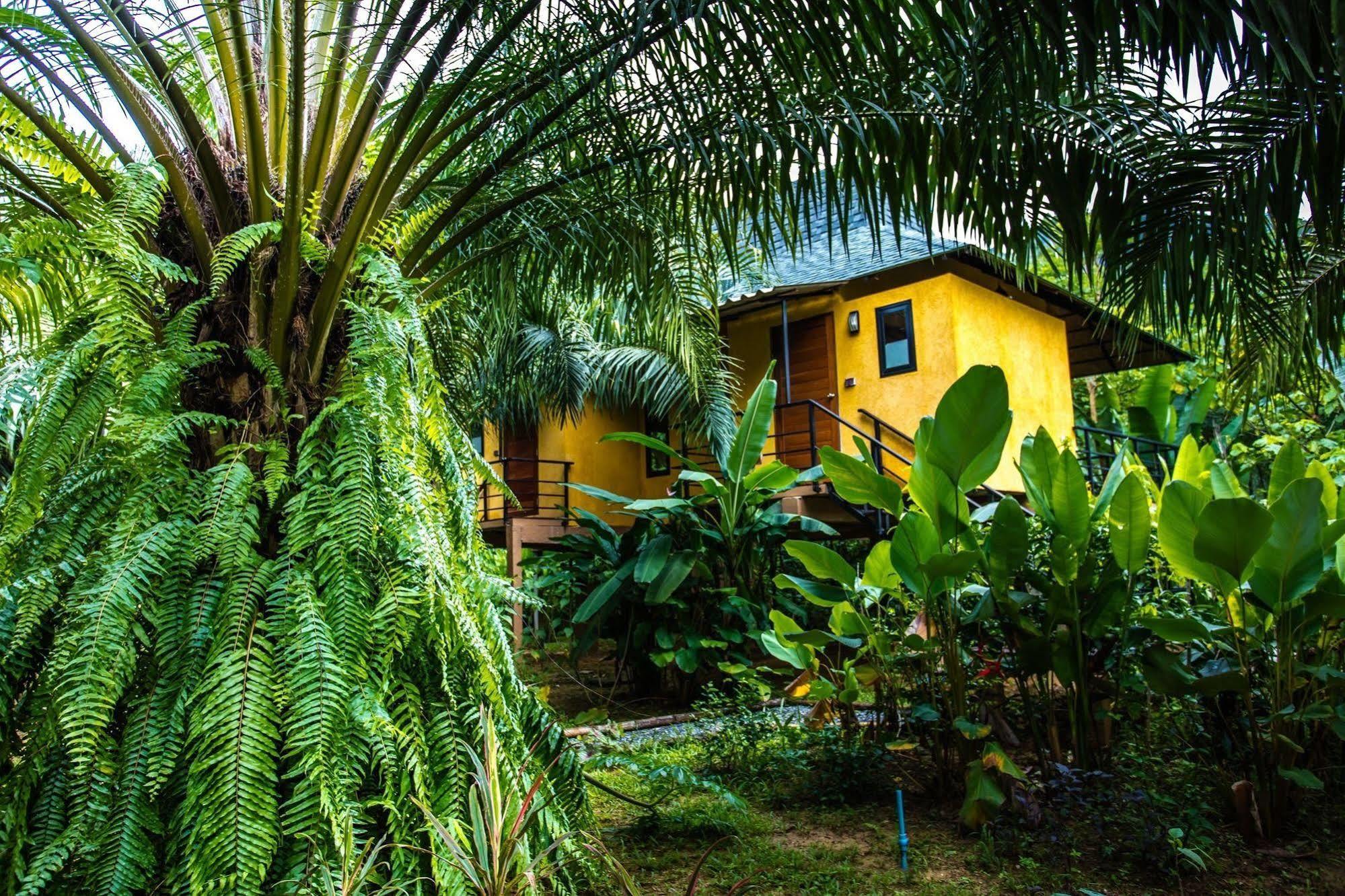 Anurak Community Lodge - Sha Plus Khao Sok National Park Eksteriør bilde