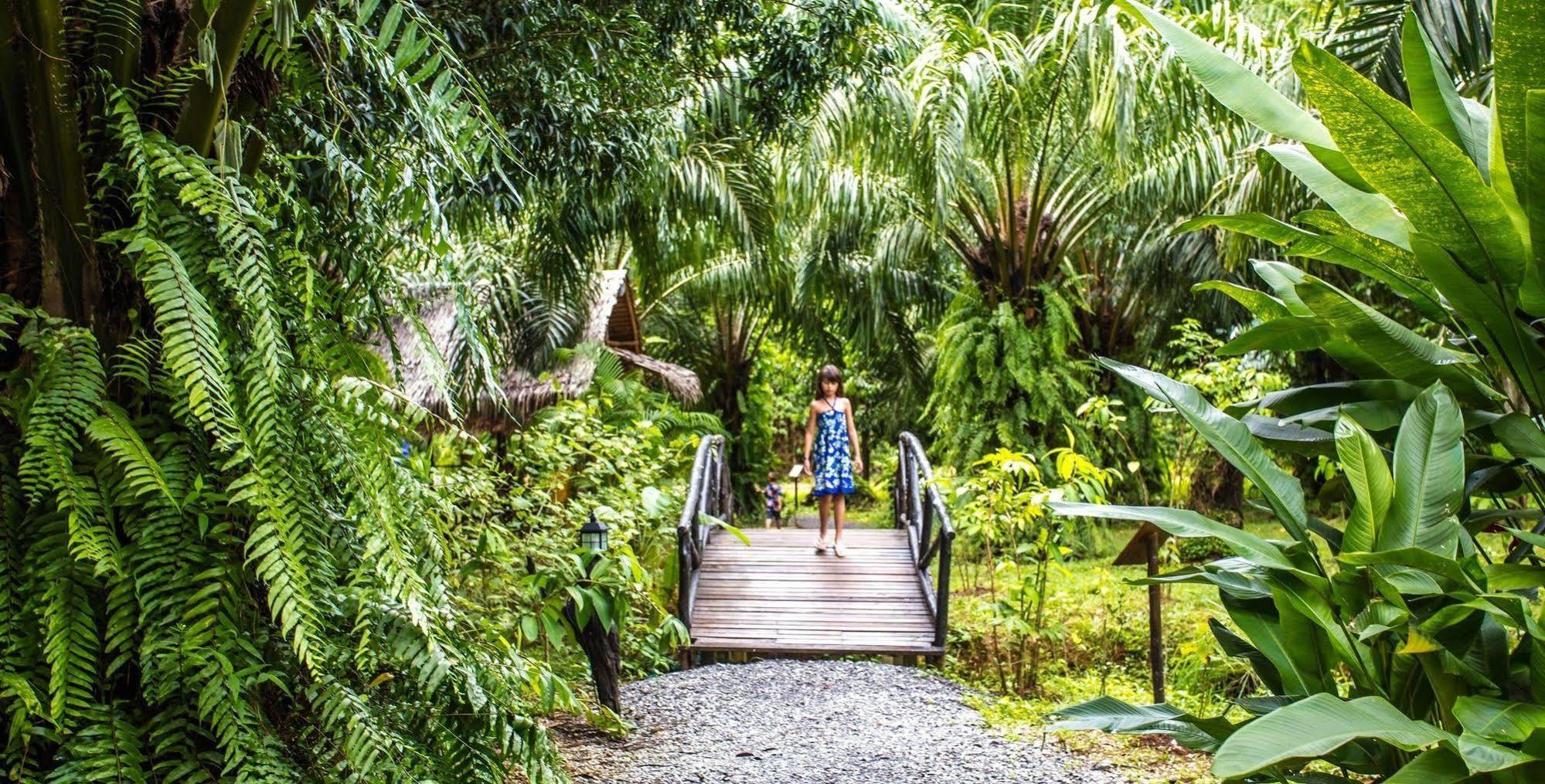 Anurak Community Lodge - Sha Plus Khao Sok National Park Eksteriør bilde
